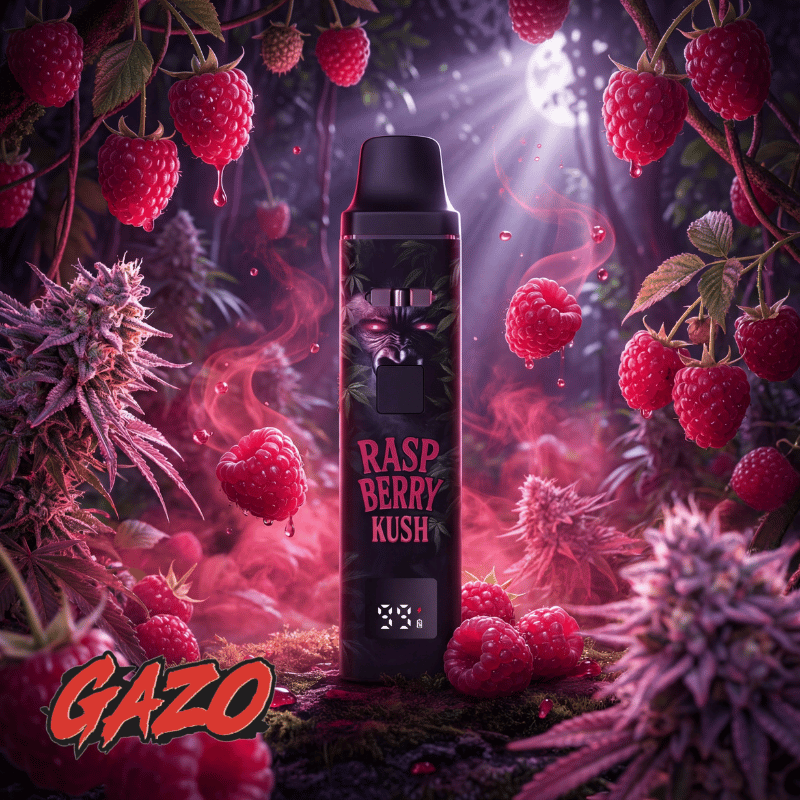 GAZO VAPE – H3BTA Raspberry Kush – 1ml CRD - My Candytown