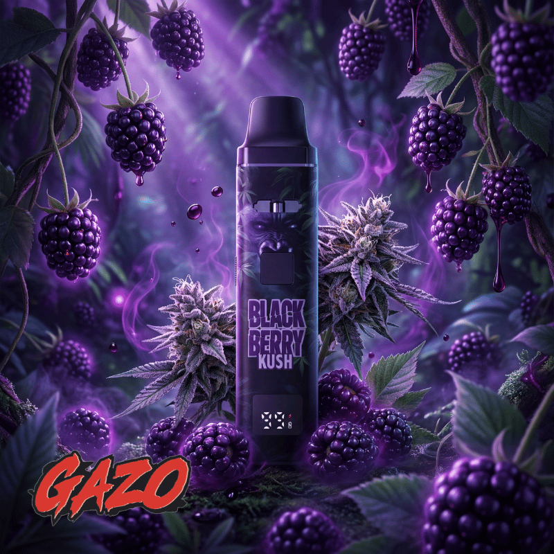 GAZO VAPE – H3BTA Black Berry – 1ml CRD - My Candytown