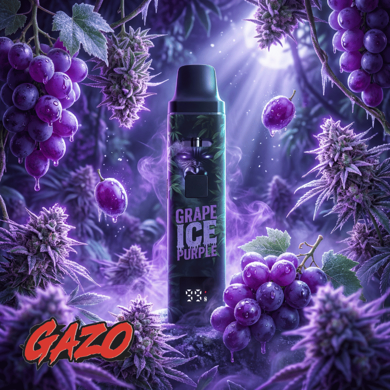 GAZO VAPE – H3BTA Grape Ice Purple – 1ml CRD - My Candytown