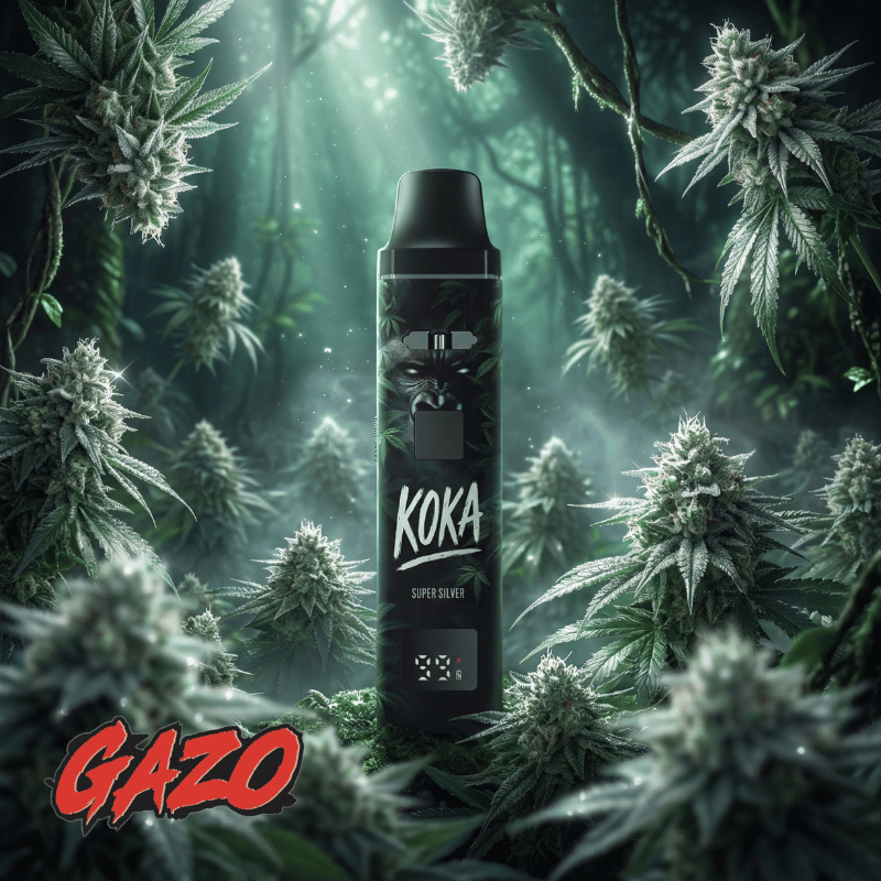 GAZO VAPE – H3BTA Koka – 1ml CRD - My Candytown